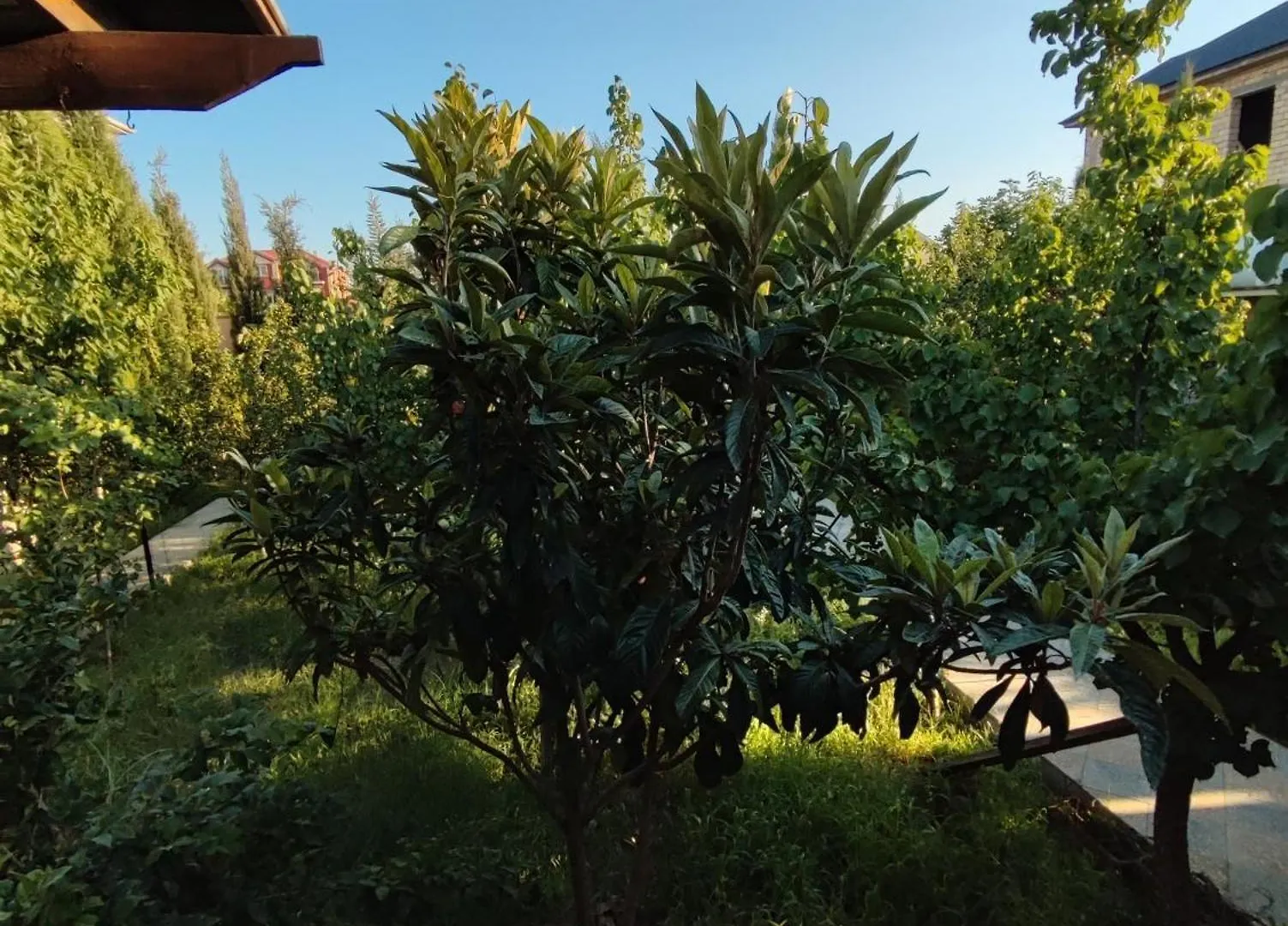 באקו Luxury Apartments For Cop 29 0*,  אזרבייג'ן